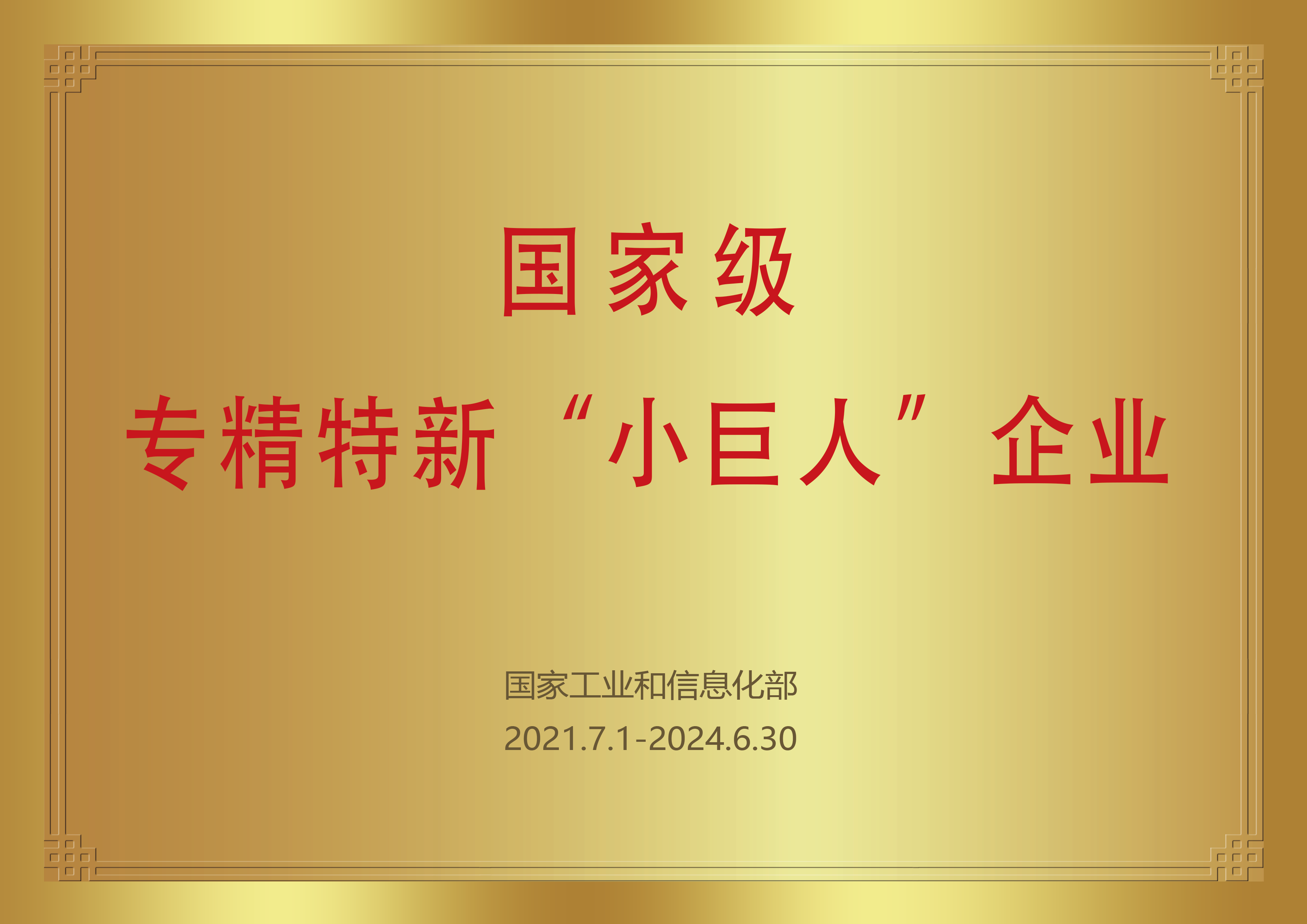 国家级专精特新小巨人证书